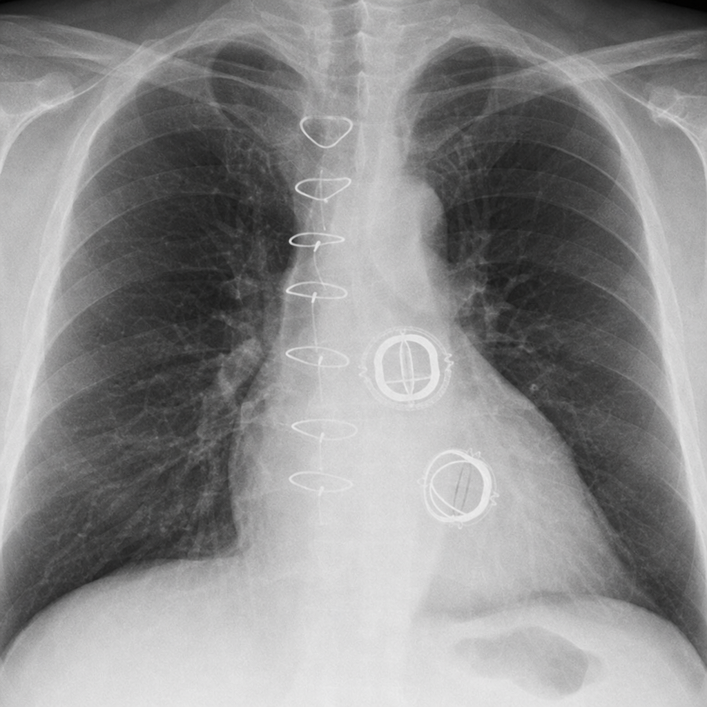 Image for question 10