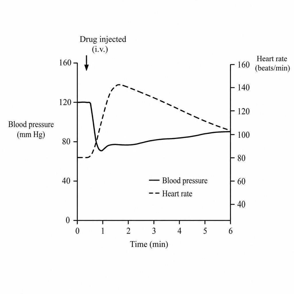 Image for question 48