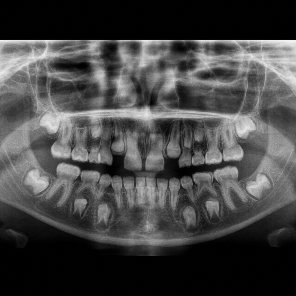 Image for question 6