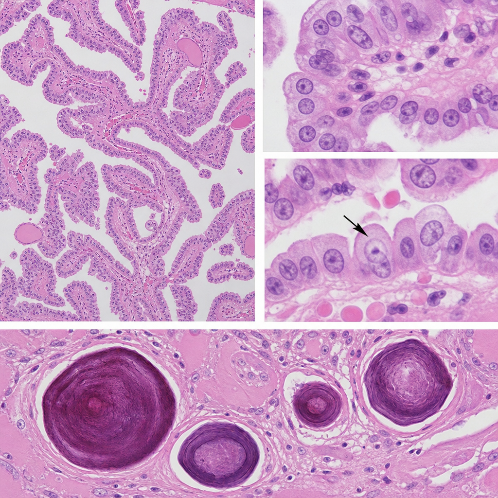 Image for question 3