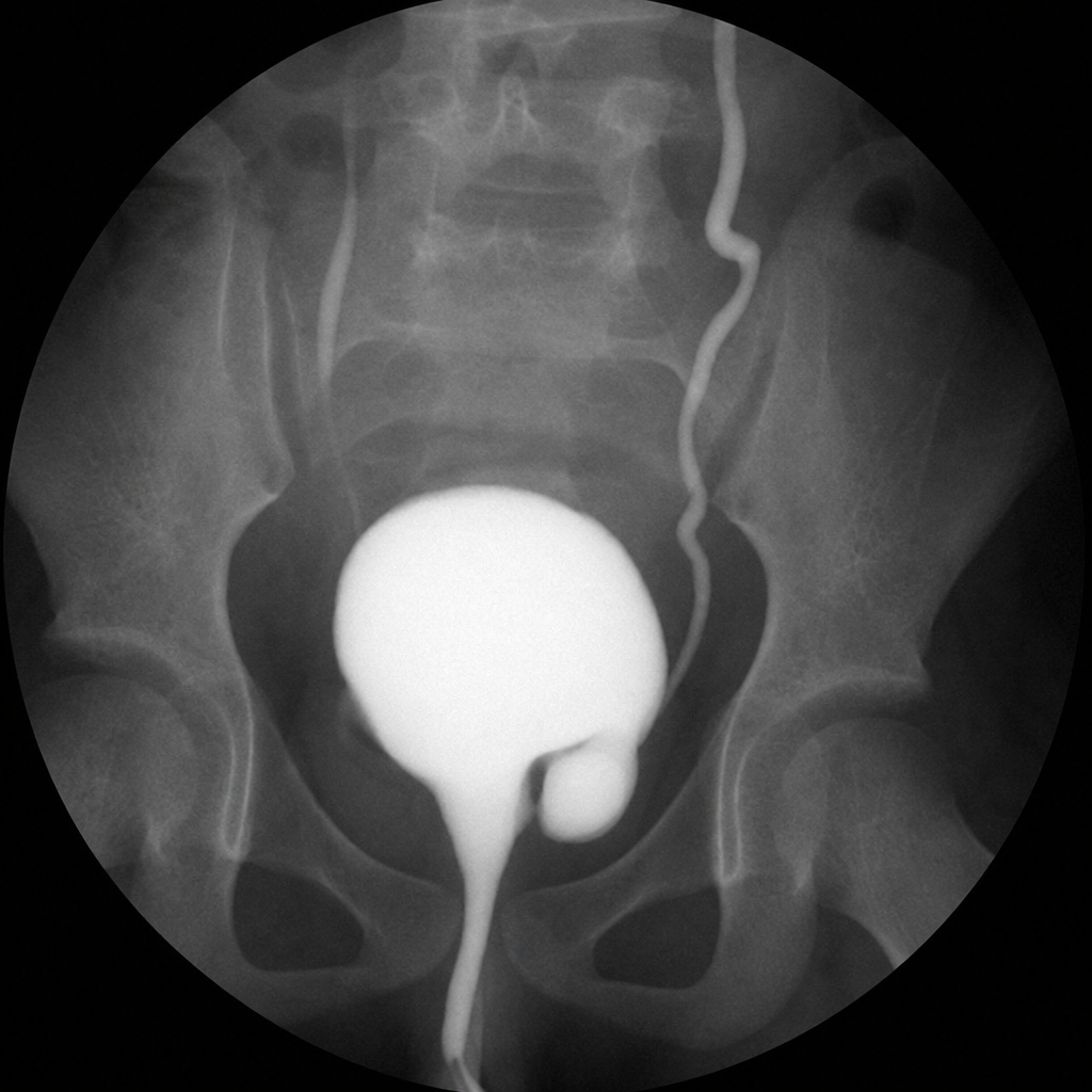 Image for question 8