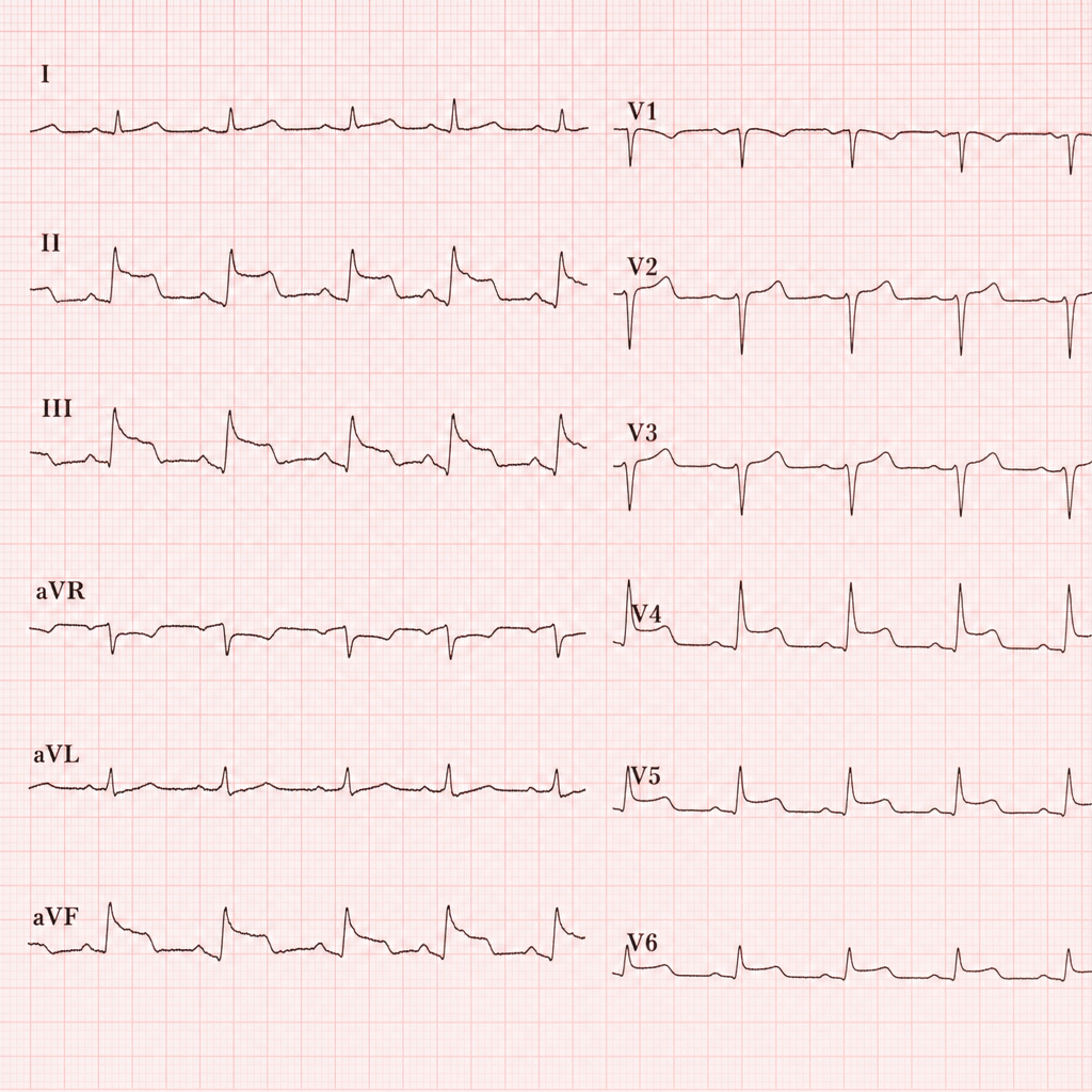 Image for question 10