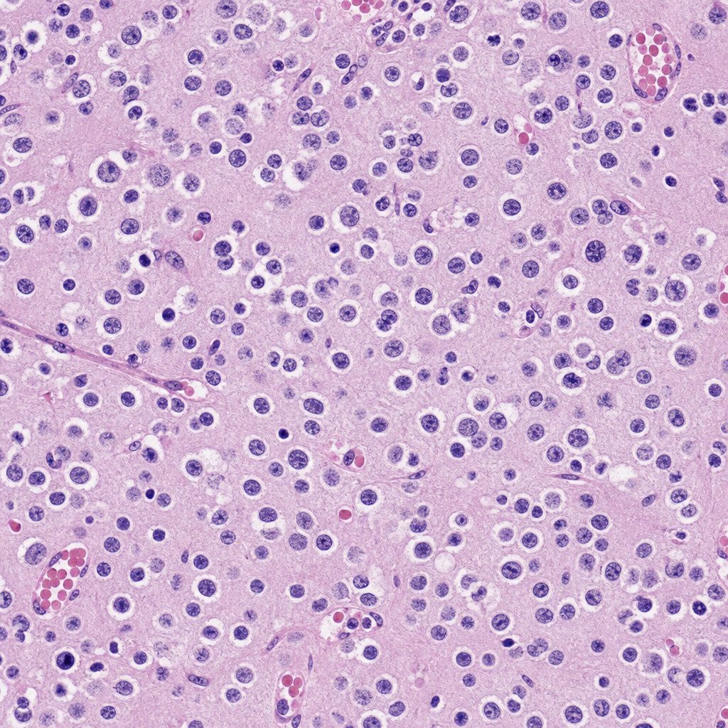Image for question 59