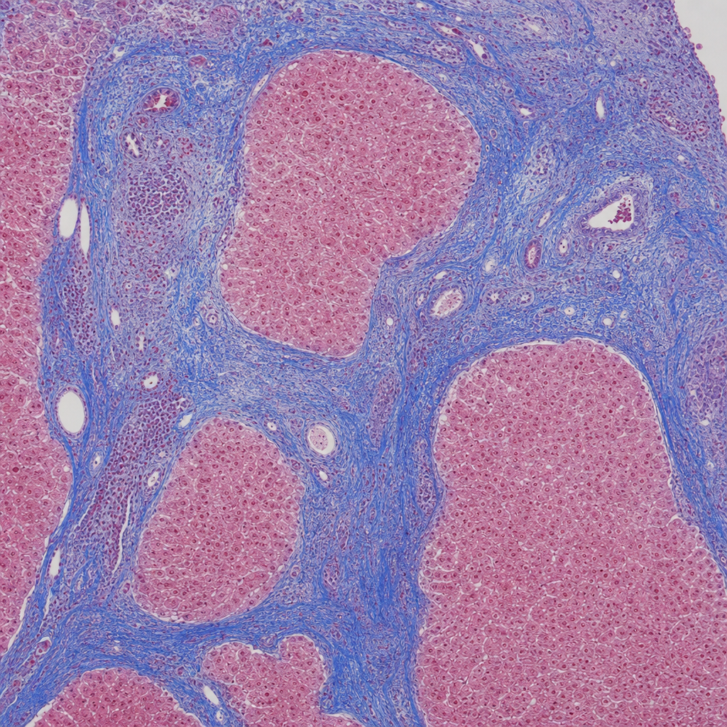 Image for question 1
