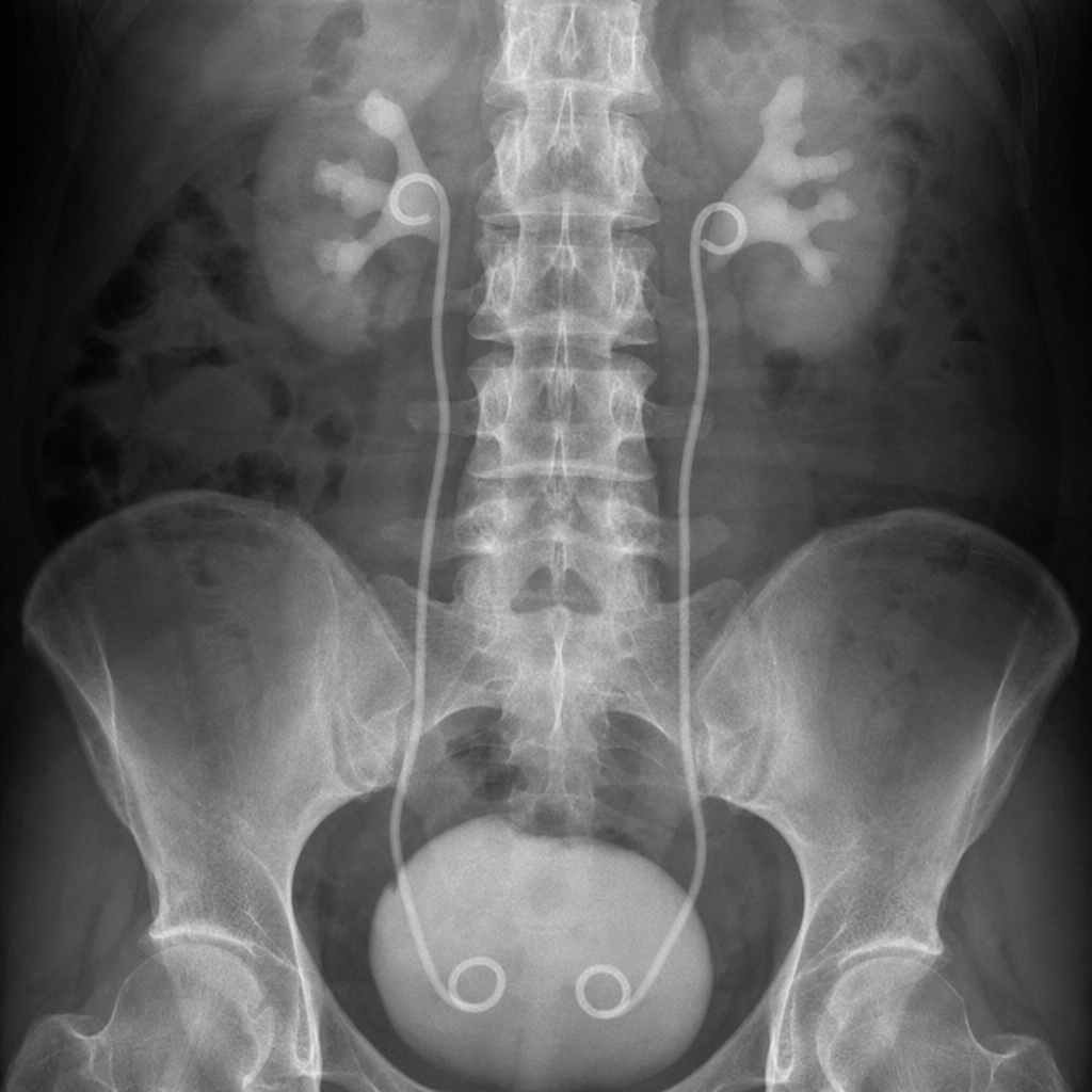 Image for question 8