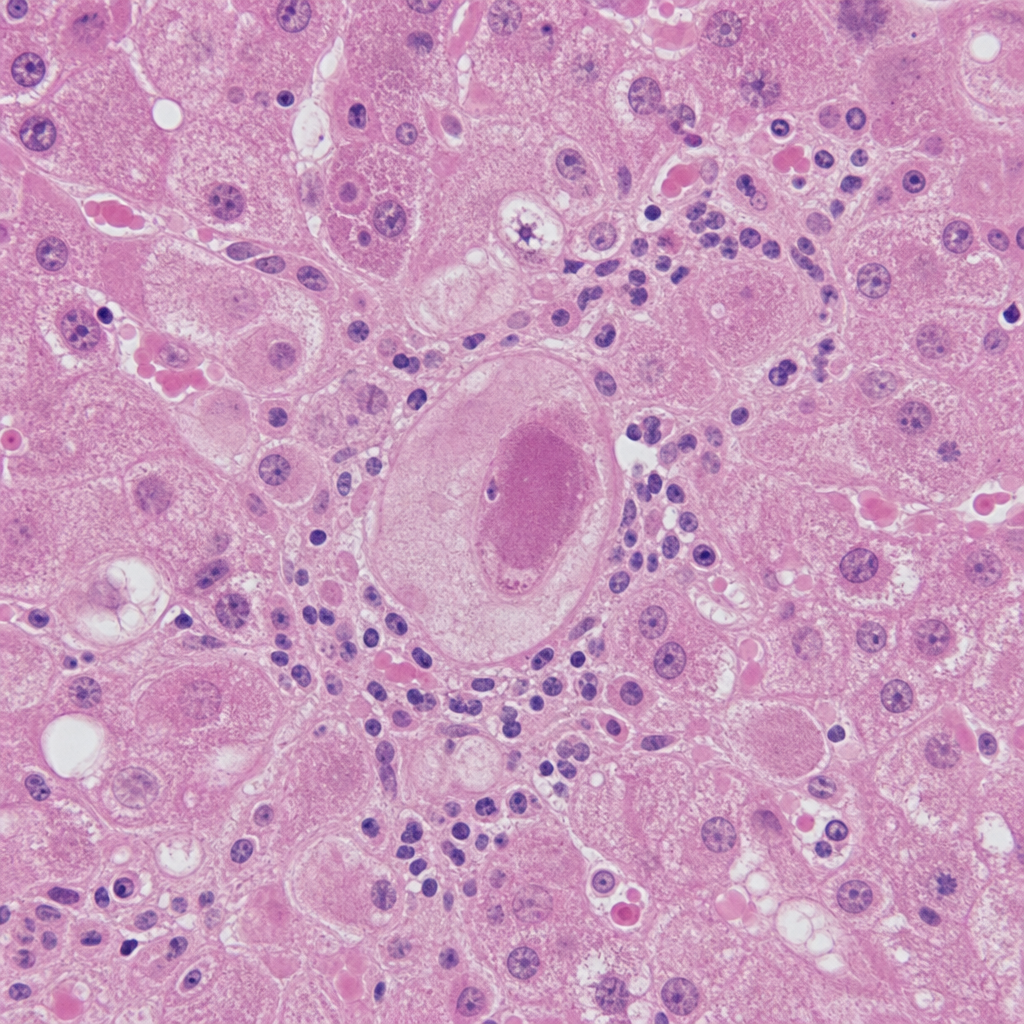 Image for question 2