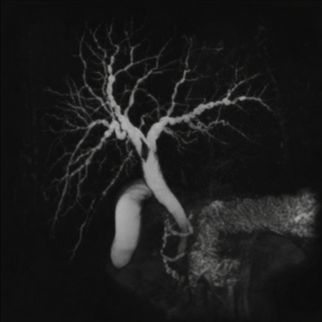 Image for question 52