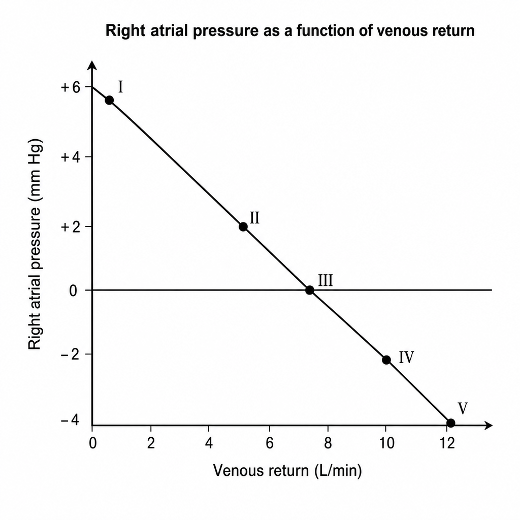 Image for question 20