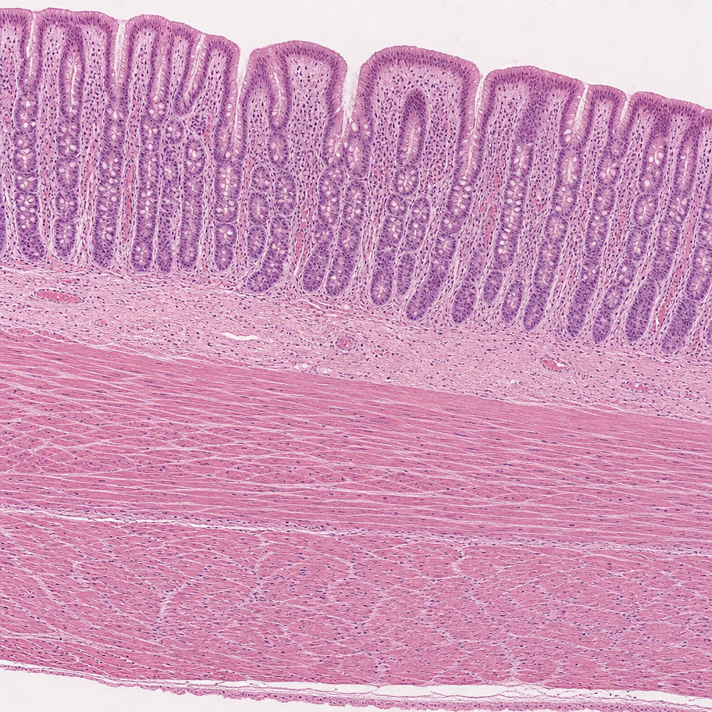 Image for question 9