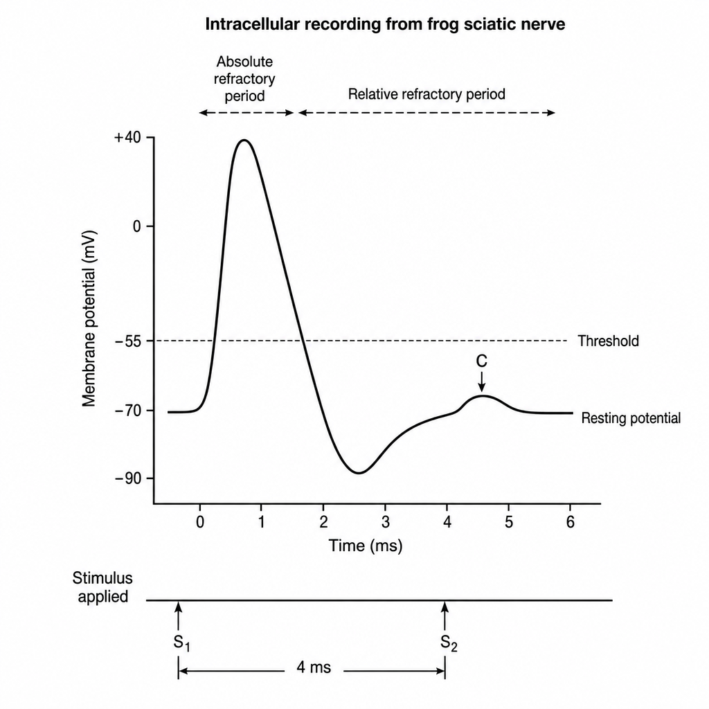 Image for question 1