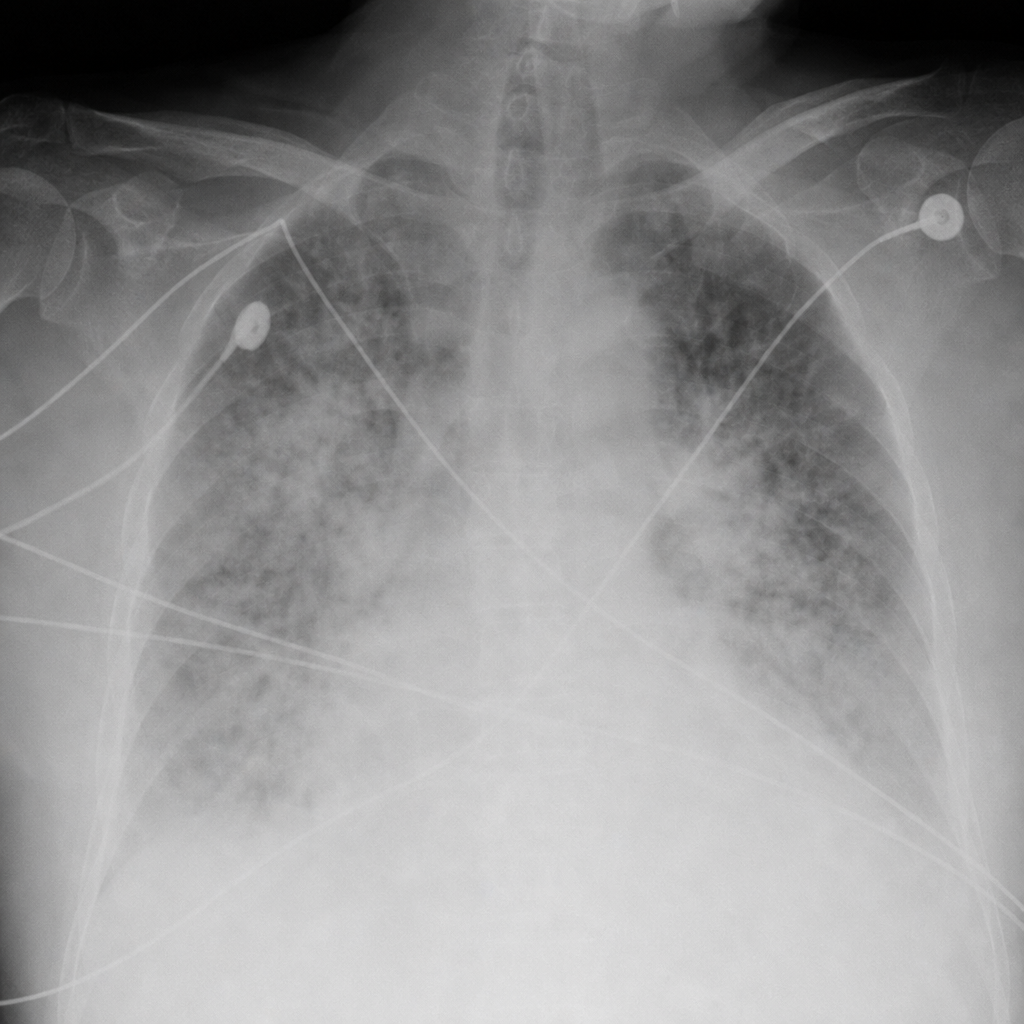 Image for question 33