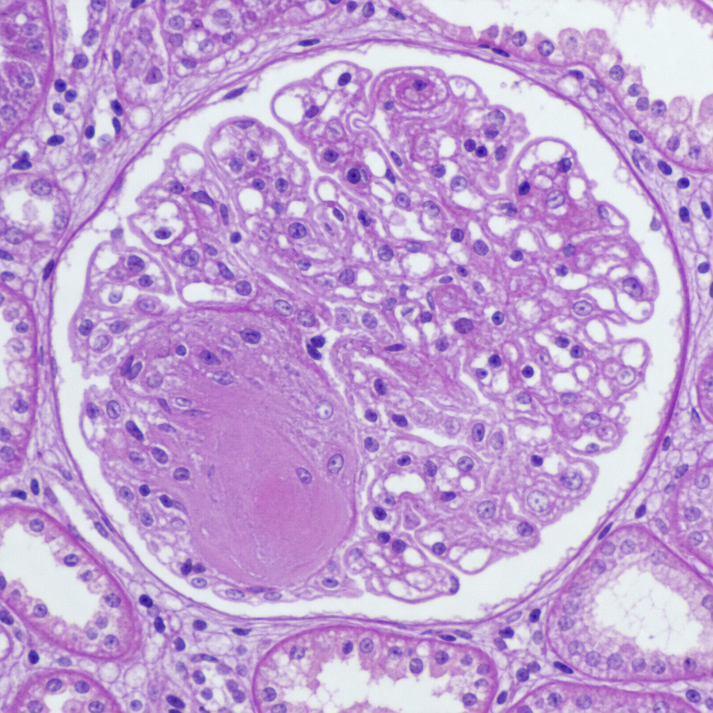 Image for question 9