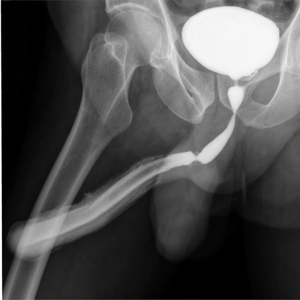 Image for question 408