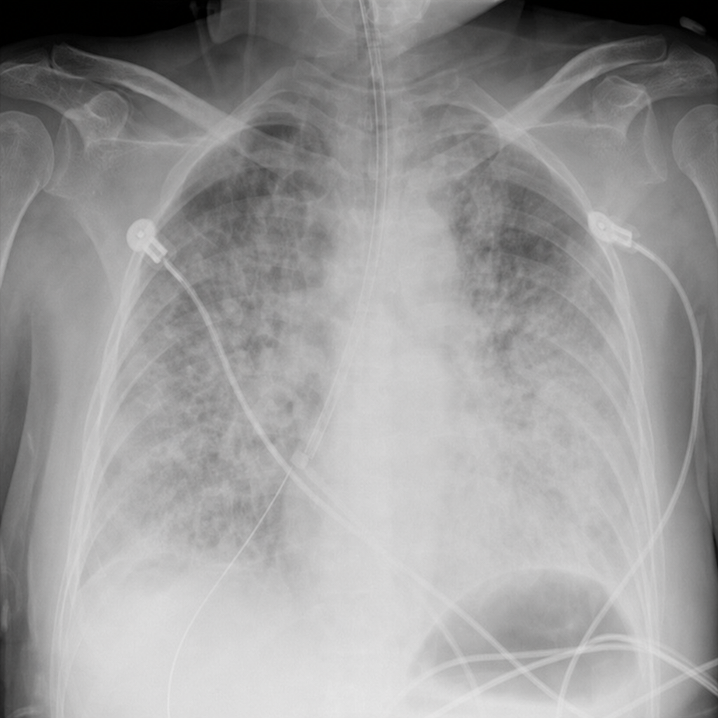 Image for question 5