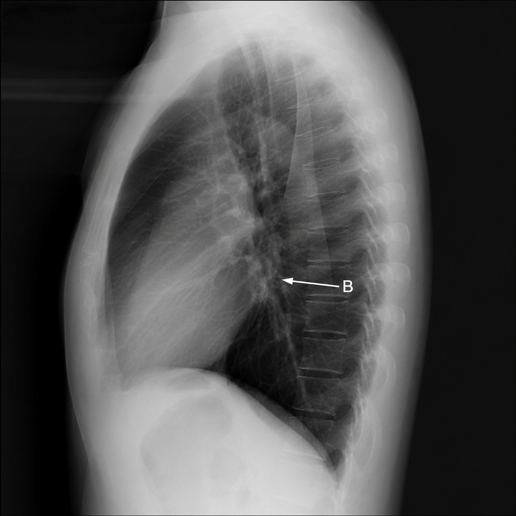 Image for question 7