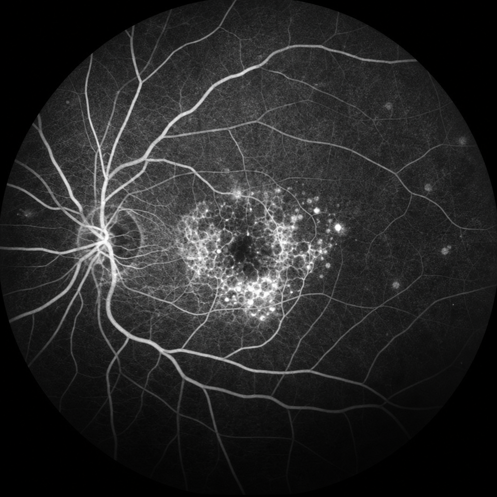 Image for question 7