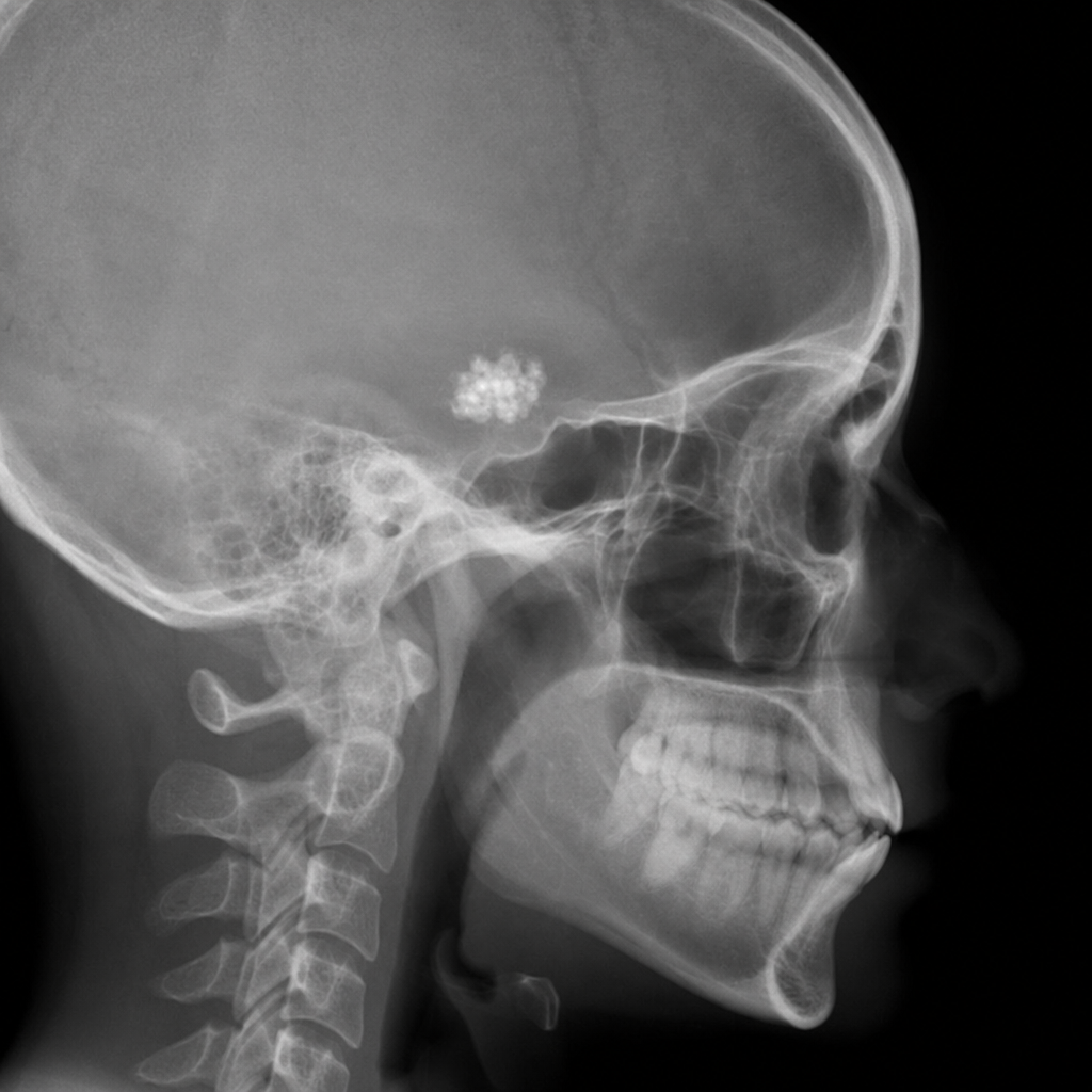 Image for question 2