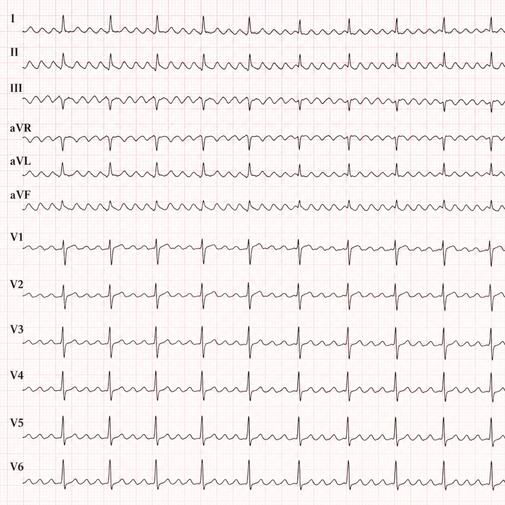 Image for question 28