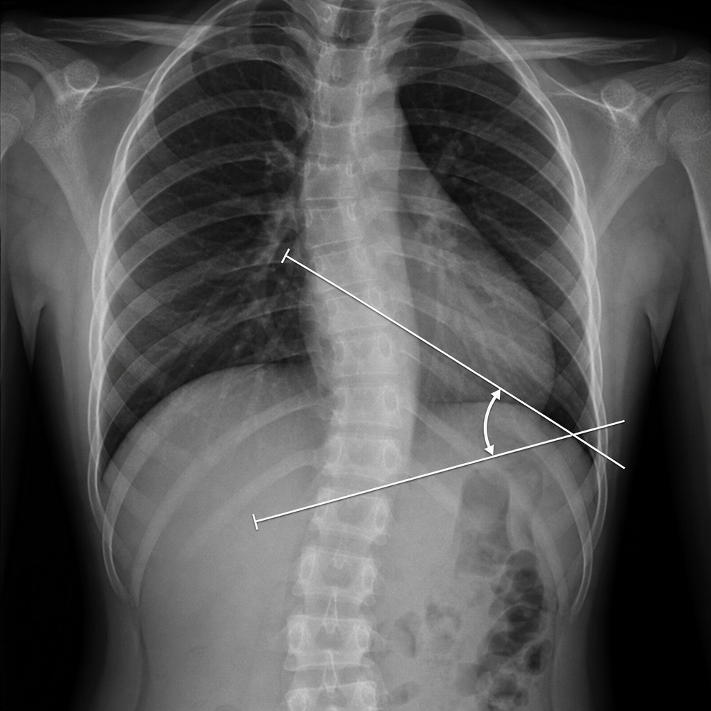 Image for question 199