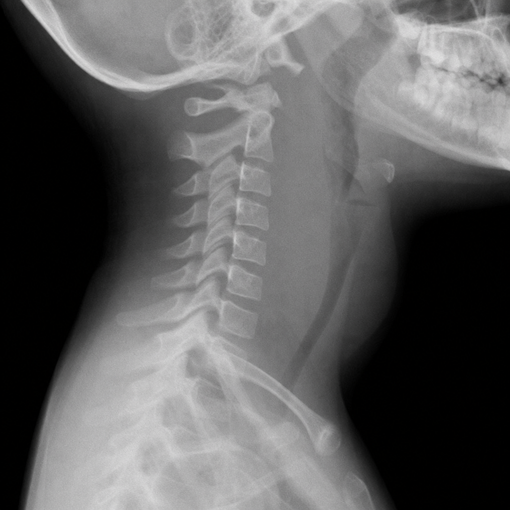Image for question 17