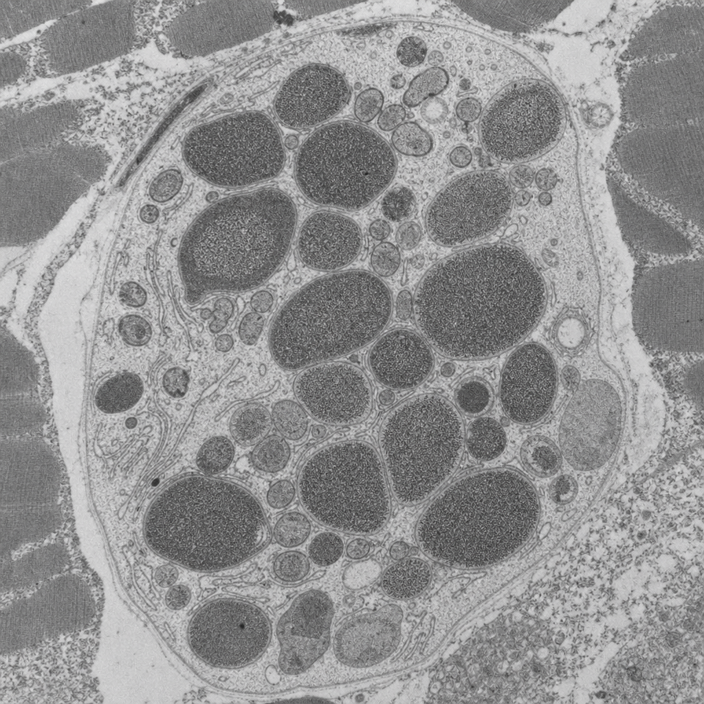 Image for question 2