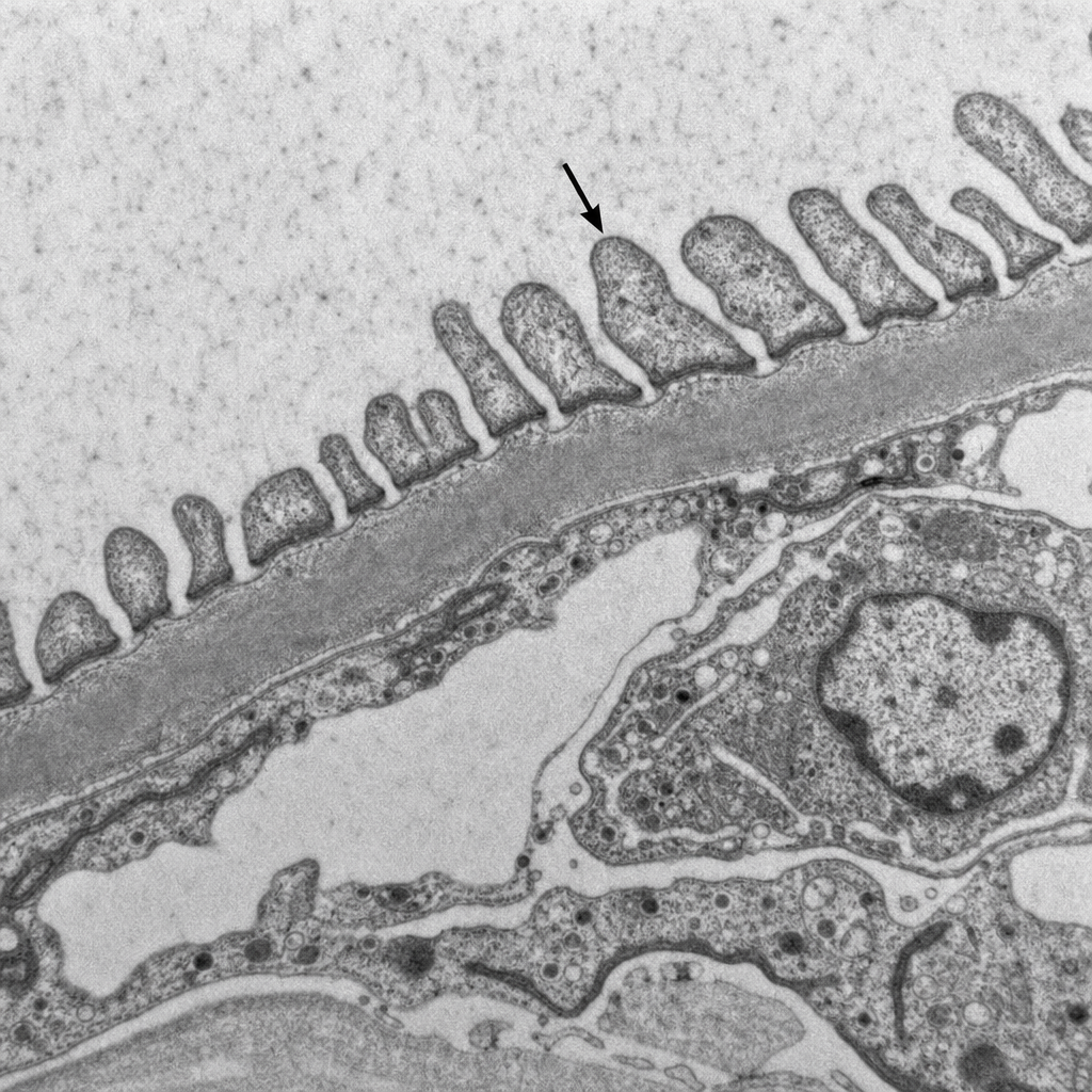 Image for question 7