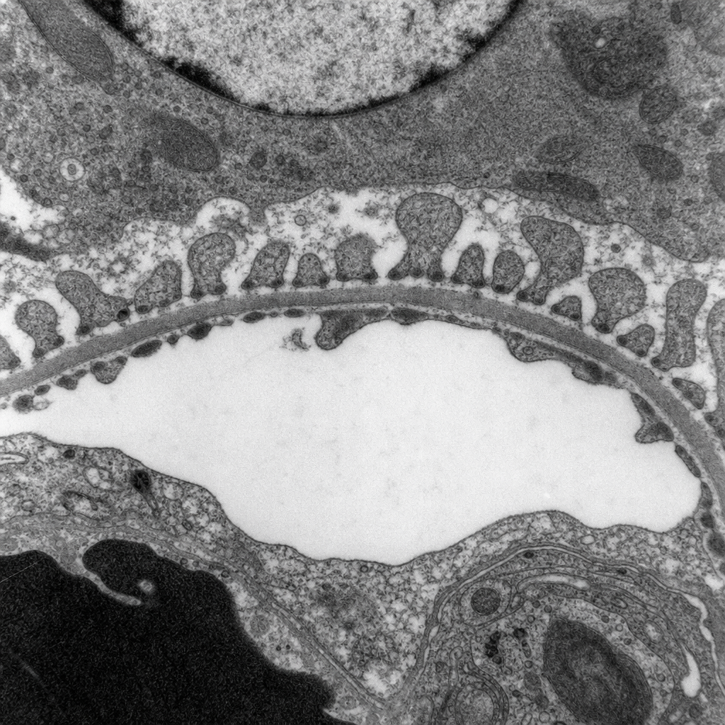 Image for question 1
