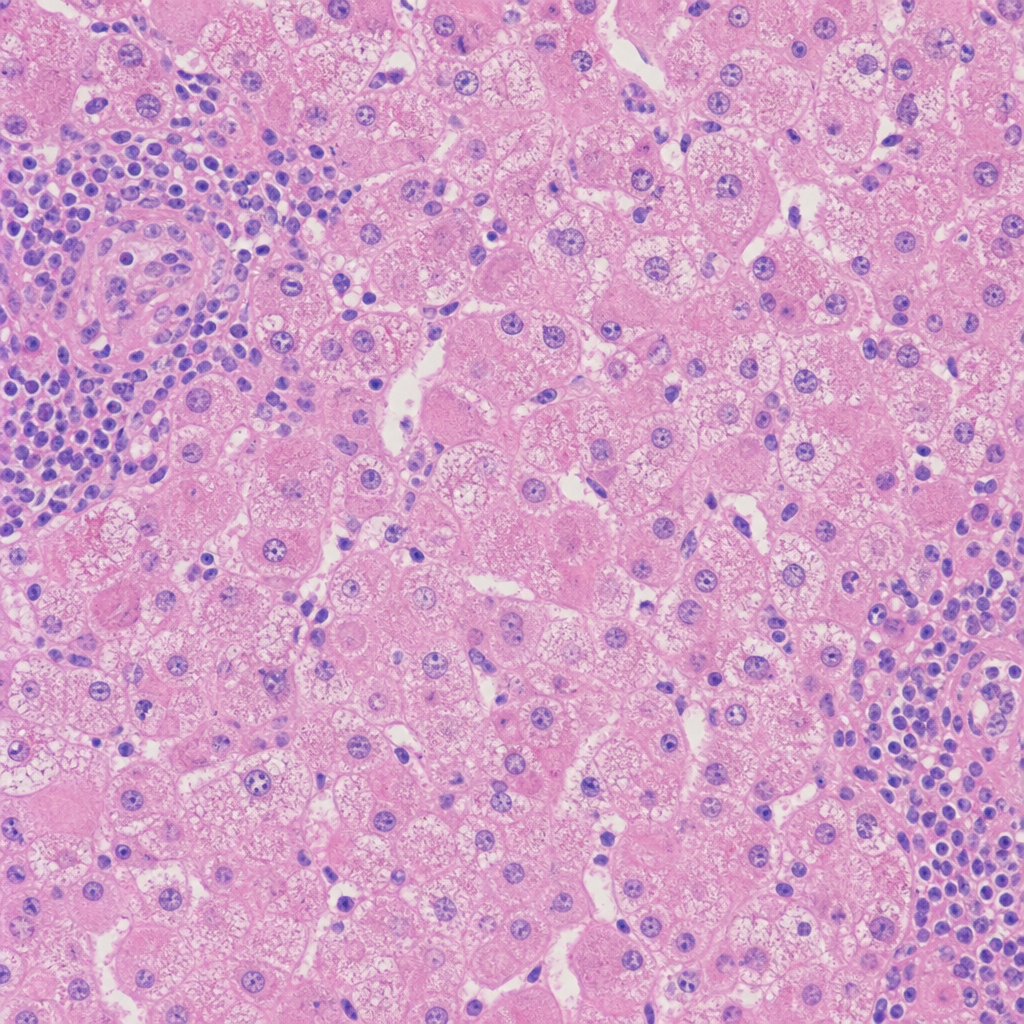 Image for question 33